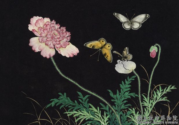 清沈振麟畫耄耋同春 冊 虞美人